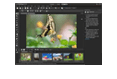 Photoshop Editing